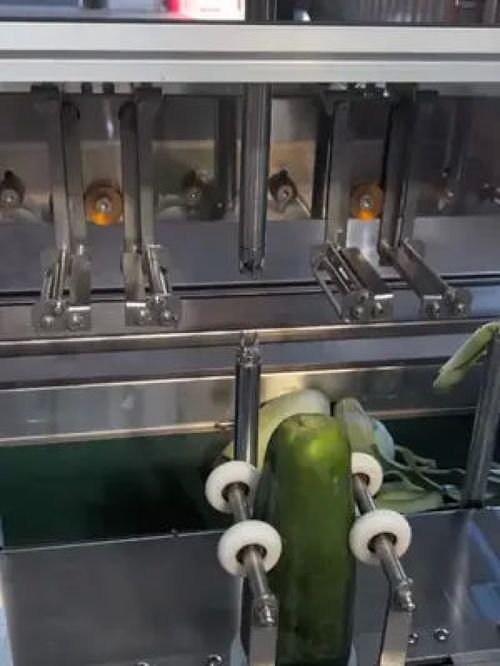 工業(yè)機(jī)械在食品加工與兒童組合滑梯生產(chǎn)中的關(guān)鍵作用