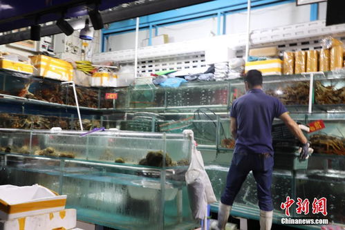 大連市內大型水產品市場 縮短營業時間 嚴格防疫消毒