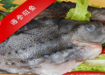 海味集翠 探索“三去安康魚”與“鮐鲅魚”的深層樣貌