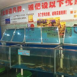 探訪南京市白下區王勇水產品經營部—電話、地址、價格及營業時間全攻略
