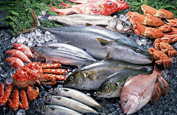 最完整最全面的食物相克表 水產品篇